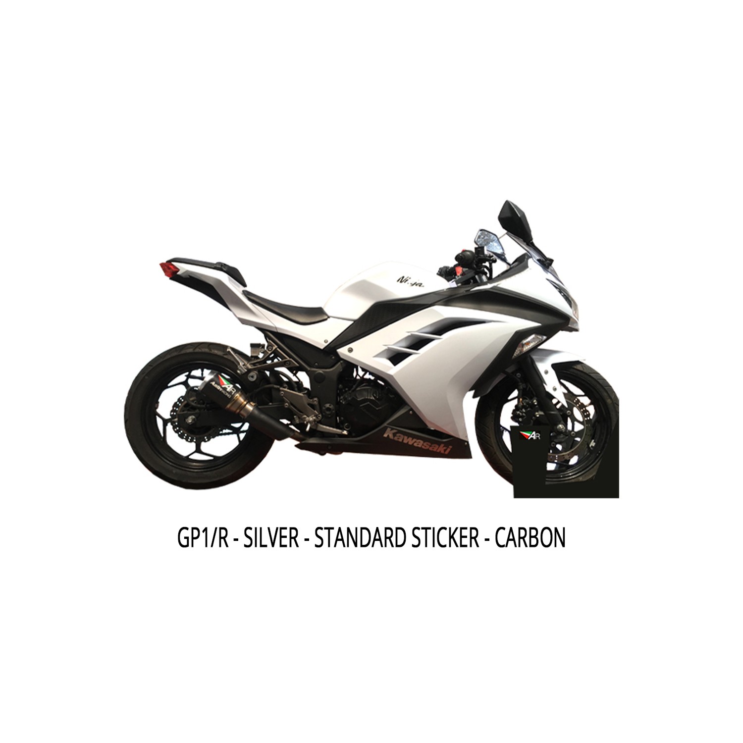 hævn bind Ingen NINJA 300 SLIP ON EXHAUST SYSTEM