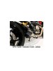 Ducati 1200 Monster Slip-on Exhaust System